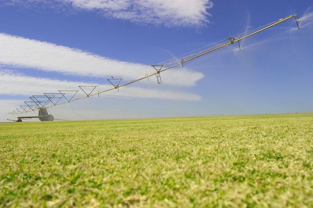 Irrigation system