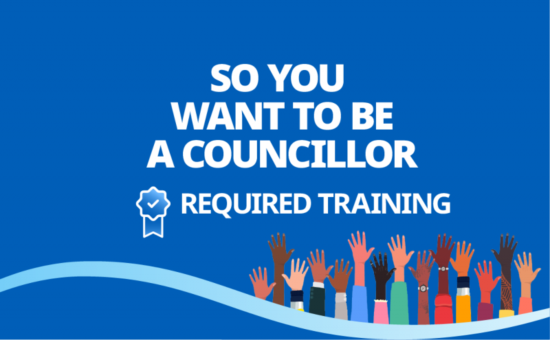 So You Want To Be a Councillor desktop poster