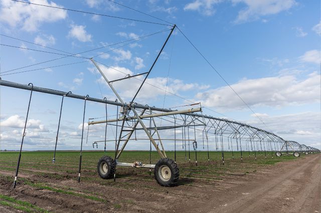 Irrigation in the upper Condamine
